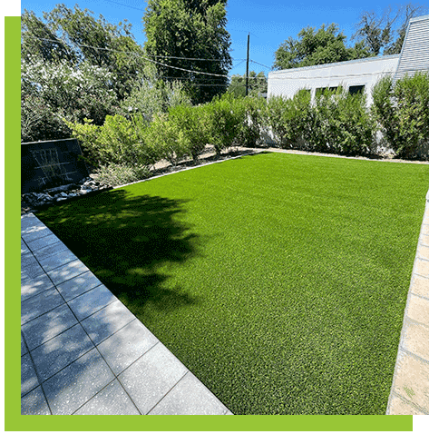 lawn-with-bushes-and-trees-behind
