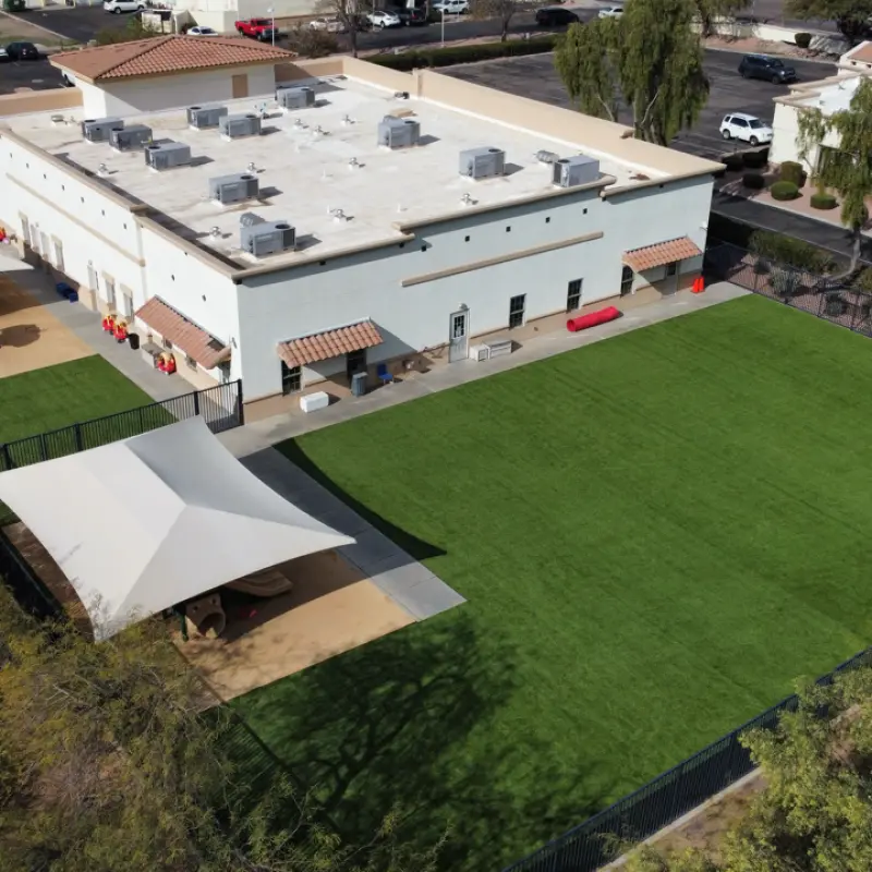 Commercial Turf