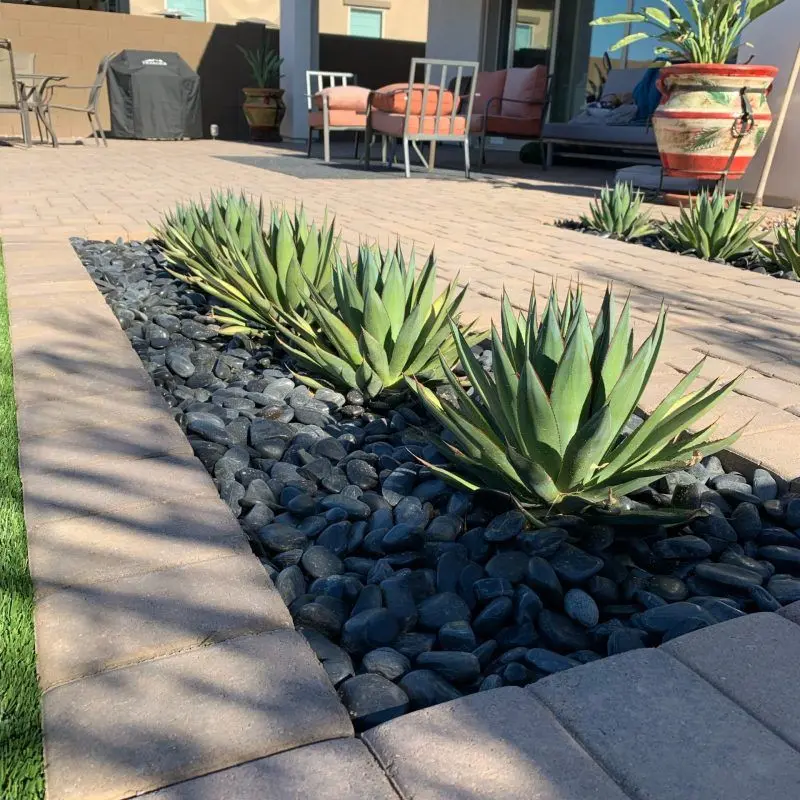 Desert rock yard landscaping with weed barrier in Phoenix
