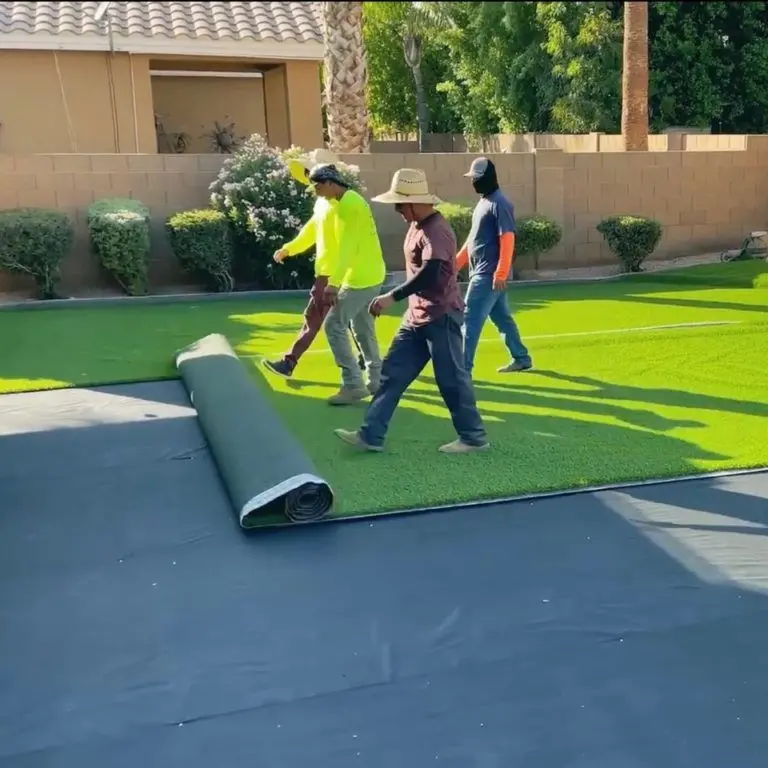 Phase 3 — Rolling out the new turf
